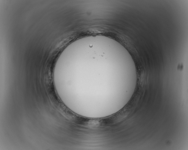 X0000113010418200909171434