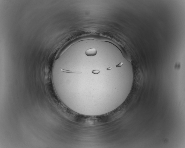 X0000113010420200909171434