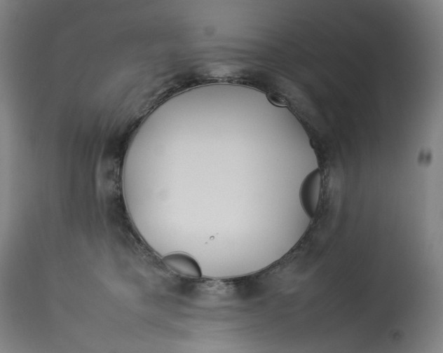 X0000113010421200909171434