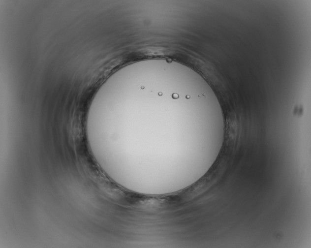 X0000113010422200909171434