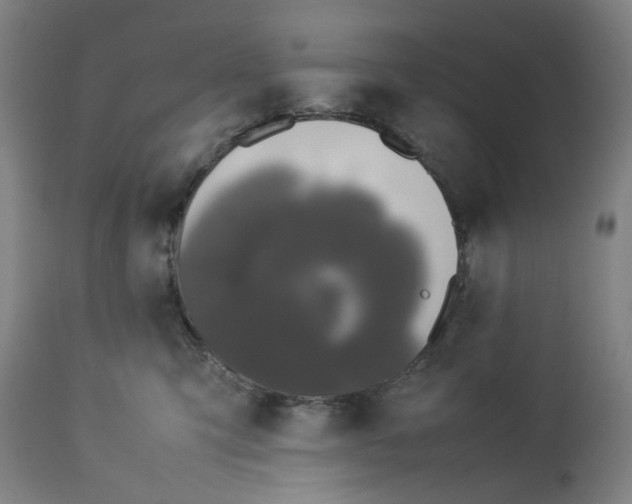 X0000113010423200909171434