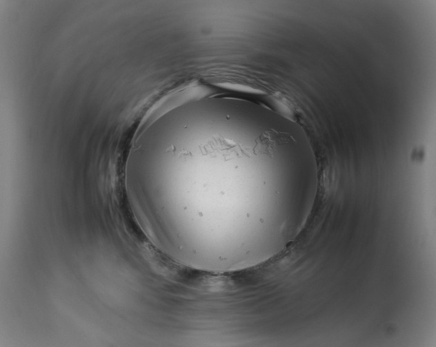 X0000113010424200909171434