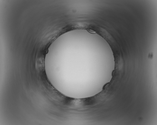 X0000113010425200909171434