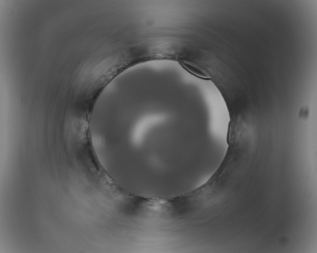 X0000113010427200909171434