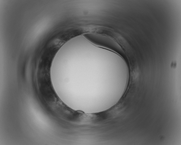 X0000113010429200909171434