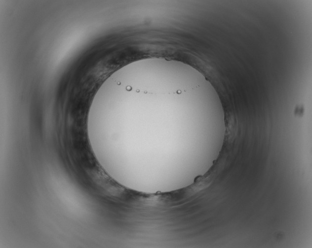 X0000113010430200909171434