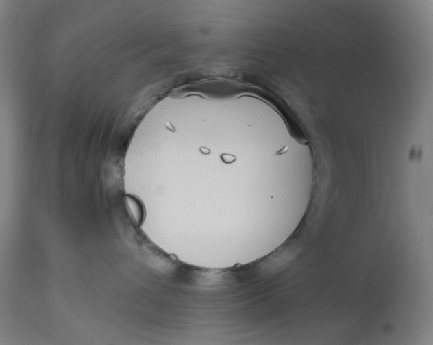 X0000113010432200909171434