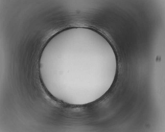 X0000113010433200909171433