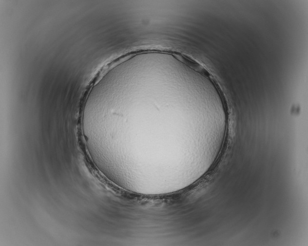 X0000113010434200909171433