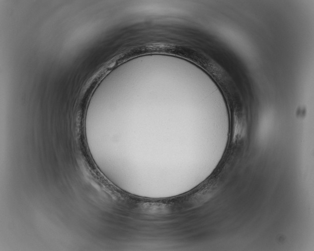 X0000113010435200909171433