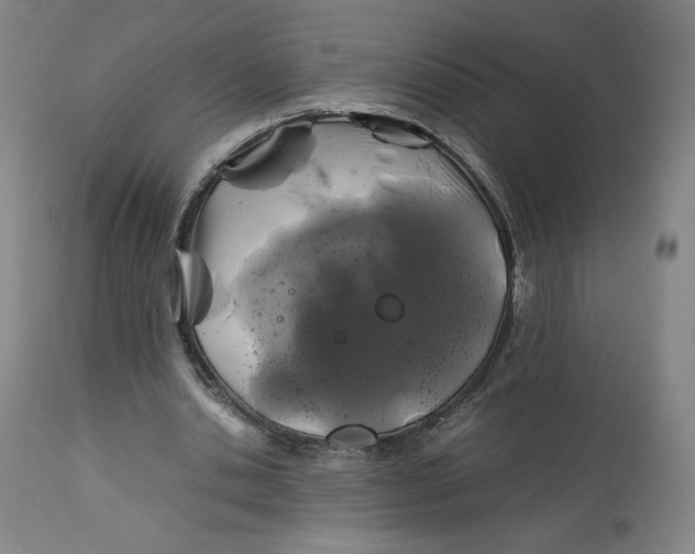 X0000113010438200909171433