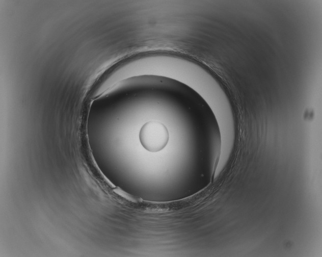 X0000113010440200909171433