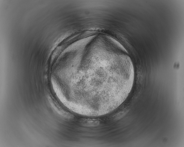 X0000113010443200909171433