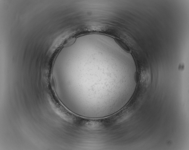 X0000113010444200909171433