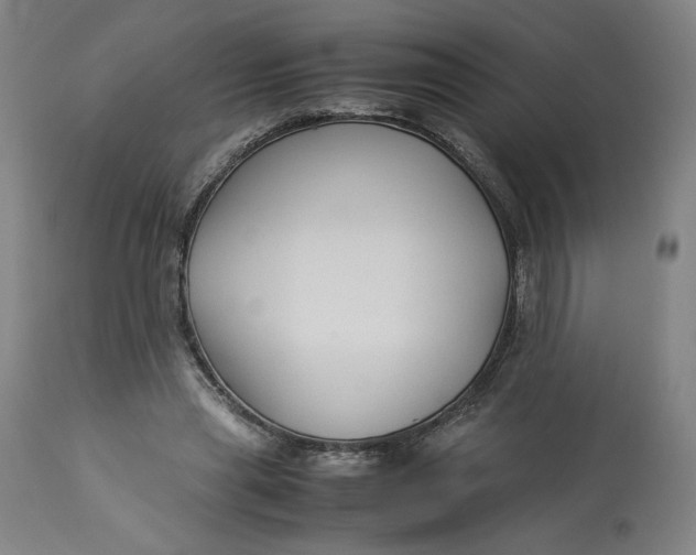 X0000113010445200909171433