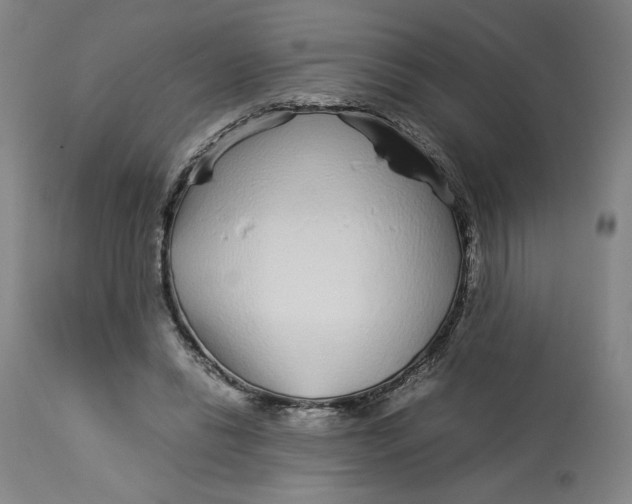 X0000113010446200909171433