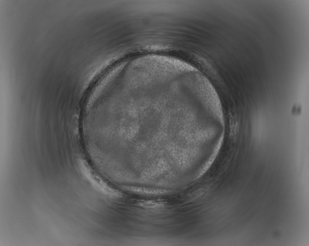 X0000113010447200909171433