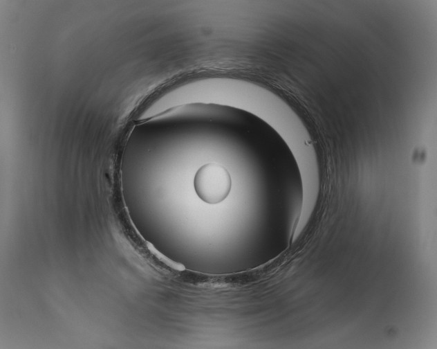 X0000113010448200909171433