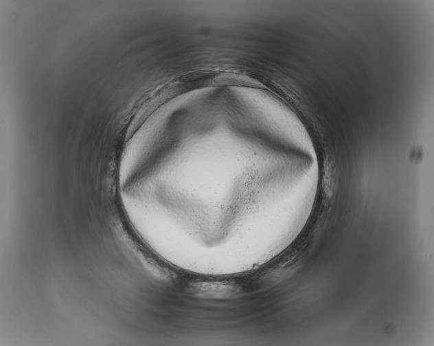 X0000113010449200909171433