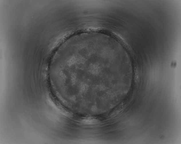 X0000113010451200909171433