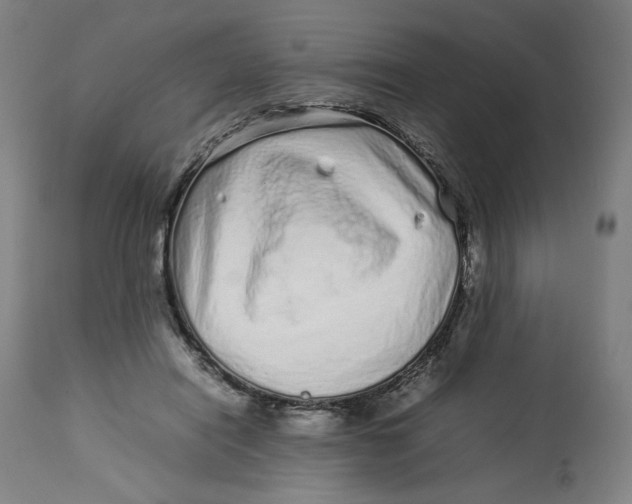 X0000113010454200909171433