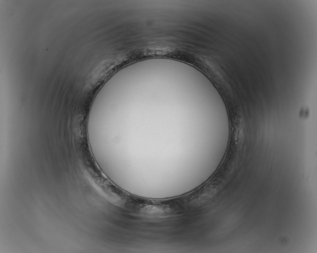 X0000113010455200909171433