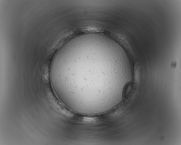 X0000113010457200909171433