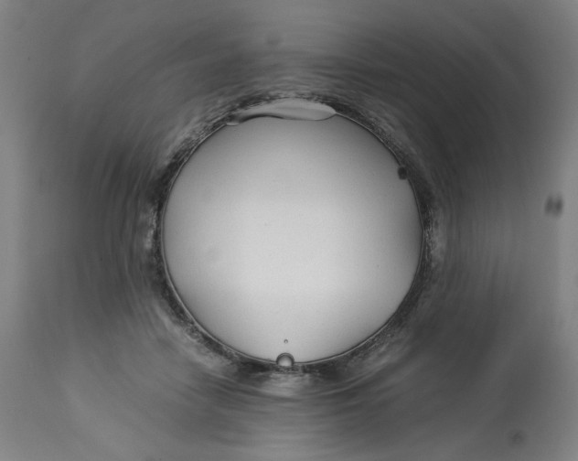 X0000113010458200909171433