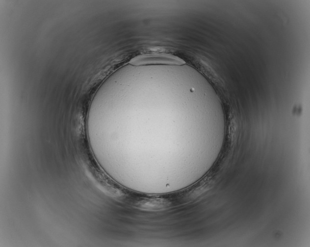 X0000113010459200909171433