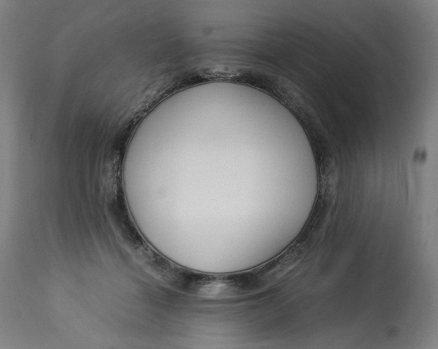 X0000113010460200909171433