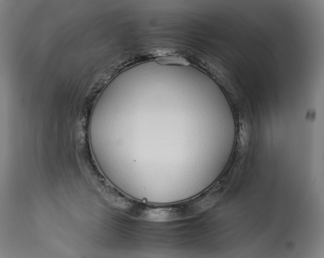 X0000113010461200909171433