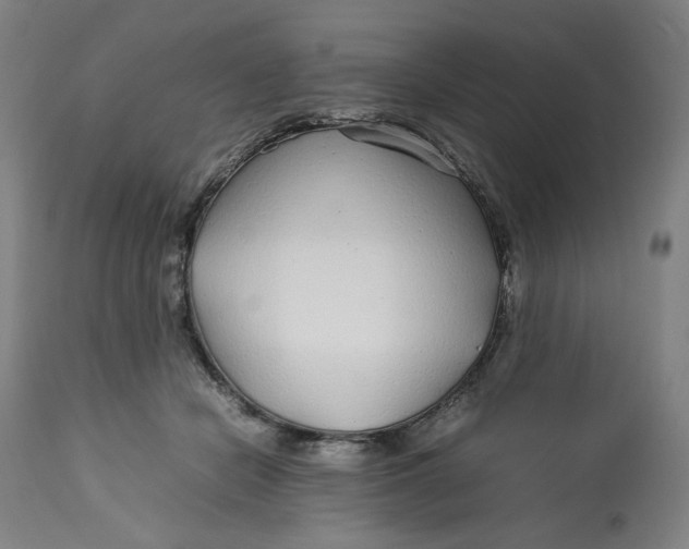 X0000113010462200909171433