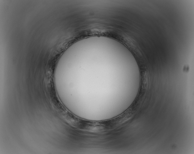 X0000113010463200909171433