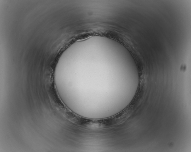 X0000113010464200909171433