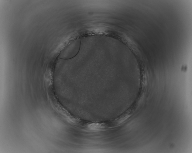 X0000113010465200909171433