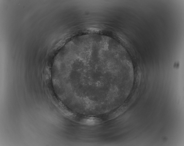 X0000113010467200909171433