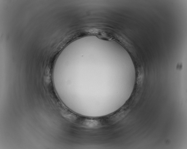 X0000113010469200909171433