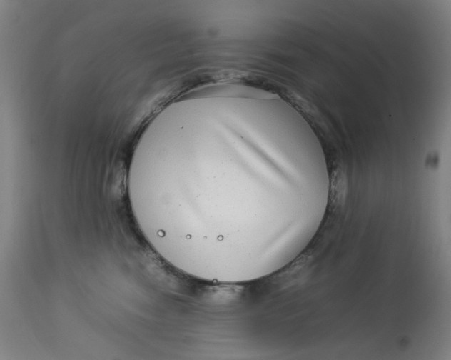 X0000113010474200909171434