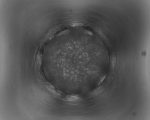 X0000113010475200909171434