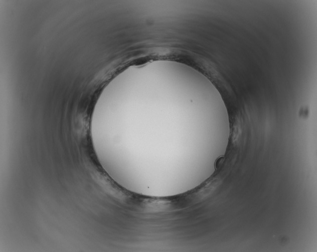 X0000113010476200909171434