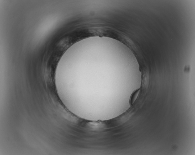 X0000113010477200909171434