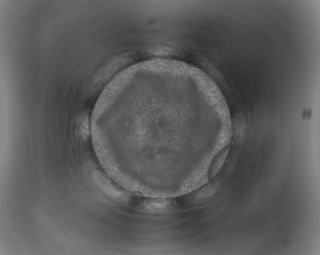 X0000113010479200909171434