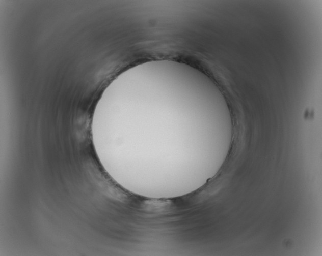 X0000113010480200909171434