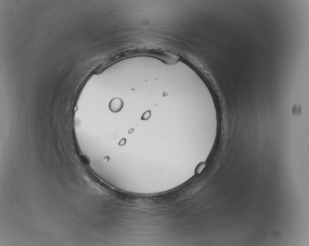 X0000113010481200909171433