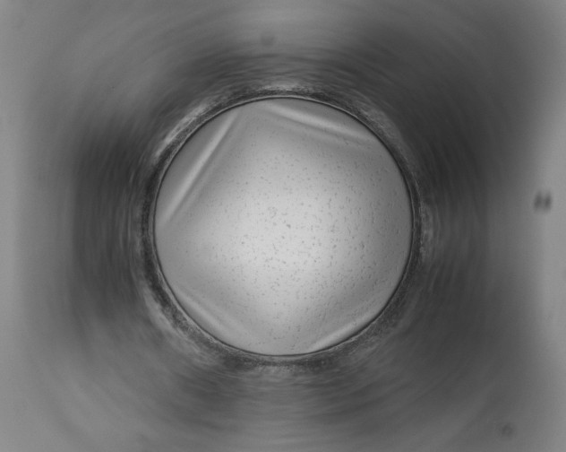 X0000113010482200909171433