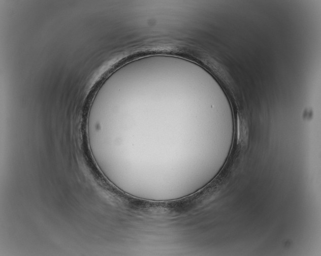 X0000113010483200909171433