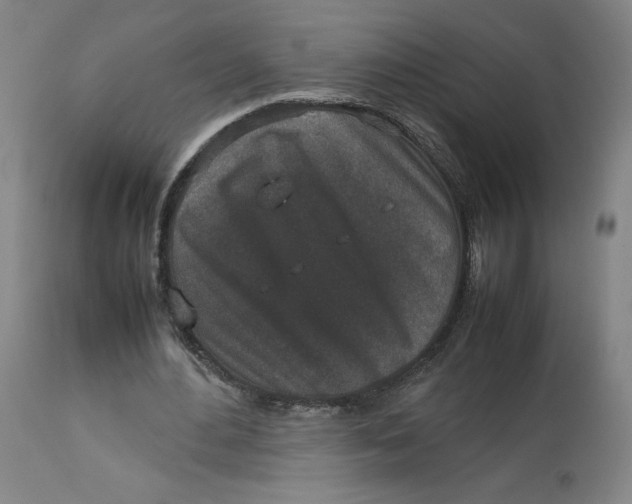 X0000113010484200909171433