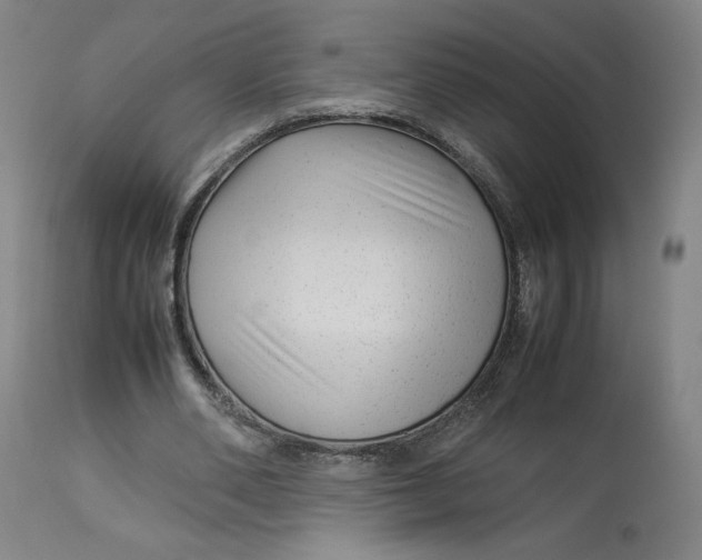 X0000113010486200909171433