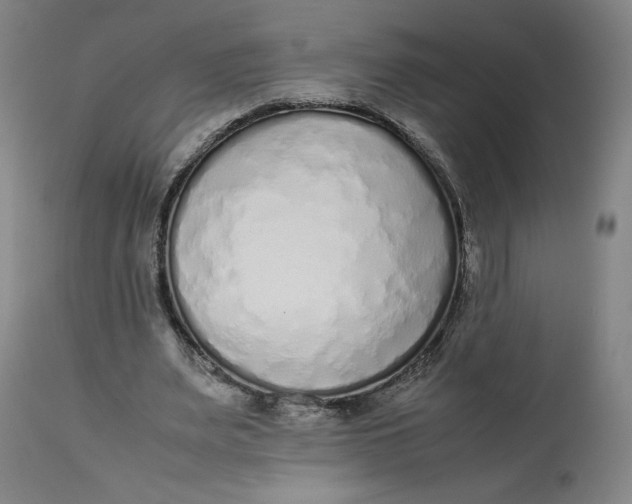 X0000113010487200909171433