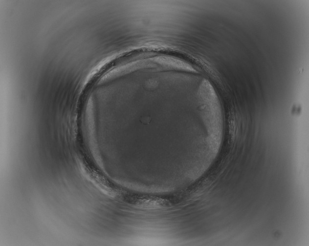 X0000113010488200909171433